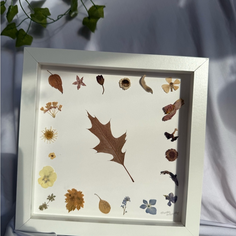 Framed Botanical Art with Pressed Leaves and Flowers